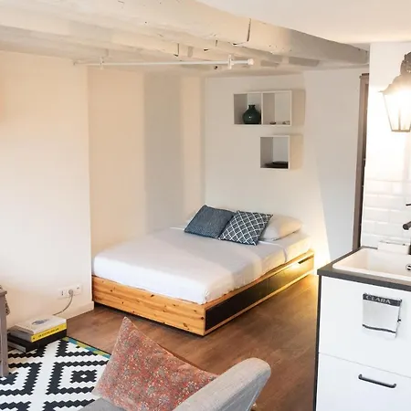 Lovely Apt Next To The Louvre *